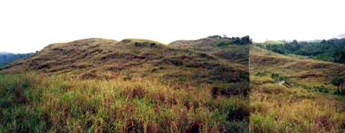 Click For Enlargement