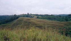 Click For Enlargement