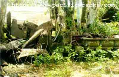 Click For Enlargment