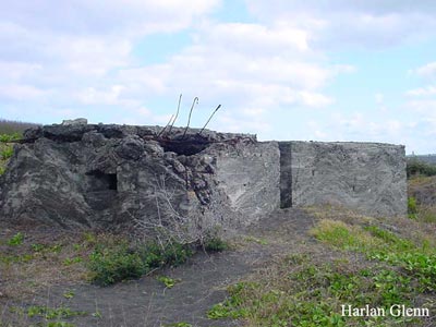 Click For Enlargement