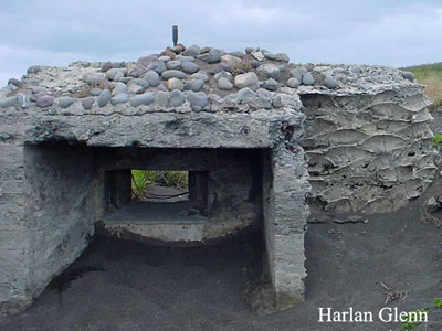 Click For Enlargement