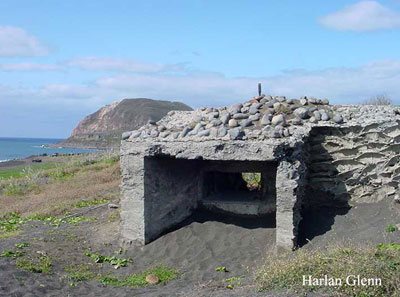 Click For Enlargement