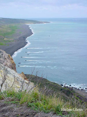 Click For Enlargement