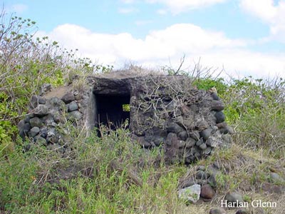 Click For Enlargement