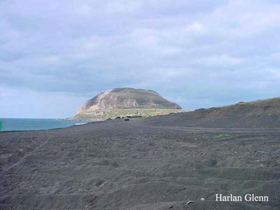 Click For Enlargement