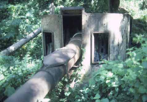 Click For Enlargement