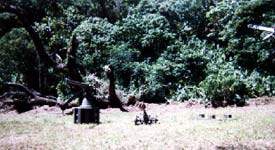 Click For Enlargement