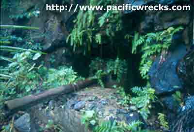 Click For Enlargement