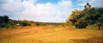 Click For Enlargement