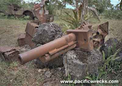 Click For Enlargement