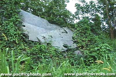 Click For Enlargement