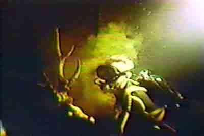 Click For Enlargement