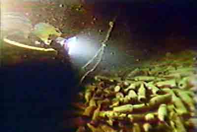 Click For Enlargement