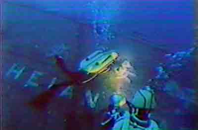 Click For Enlargement