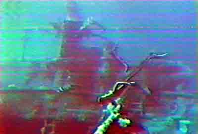 Click For Enlargement