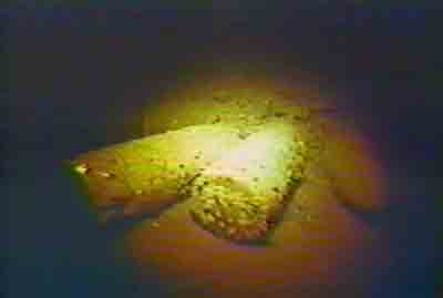 Click For Enlargement