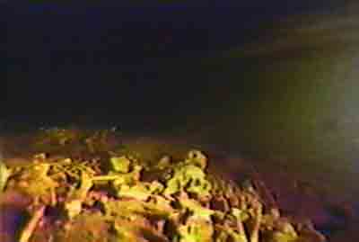 Click For Enlargement