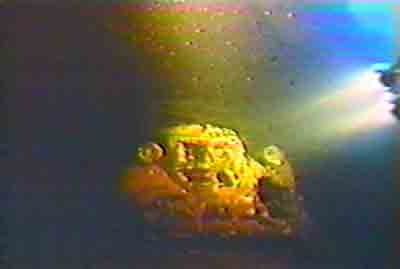 Click For Enlargement