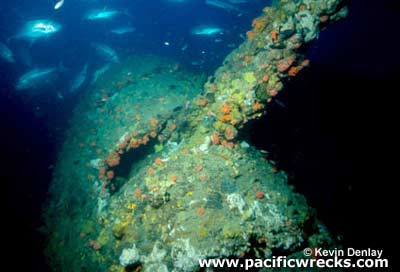 Click For Enlargement