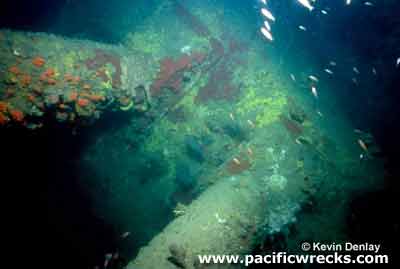 Click For Enlargement