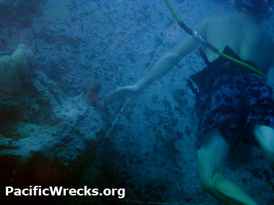 Click For Enlargement