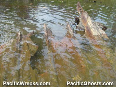 Click For Enlargement