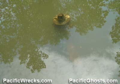 Click For Enlargement