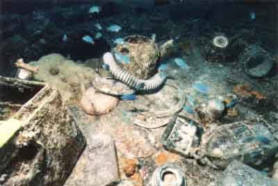 Click For Enlargement