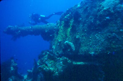 Click For Enlargement