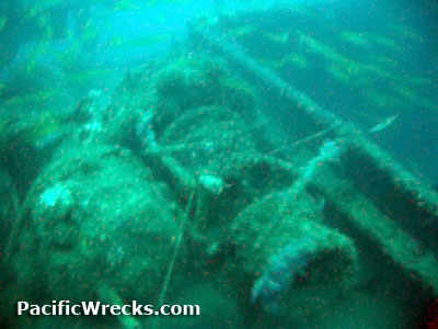 Click For Enlargement