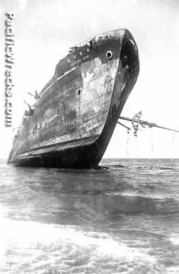 Click For Enlargement