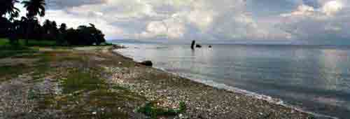 Click For Enlargement