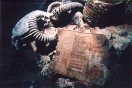 Click For Enlargement