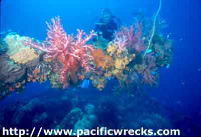 Click For Enlargement