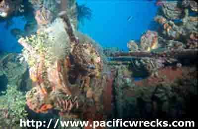 Click For Enlargement