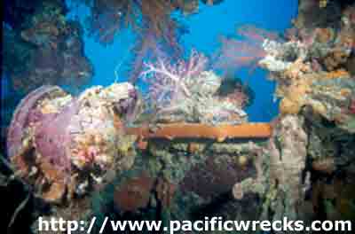 Click For Enlargement