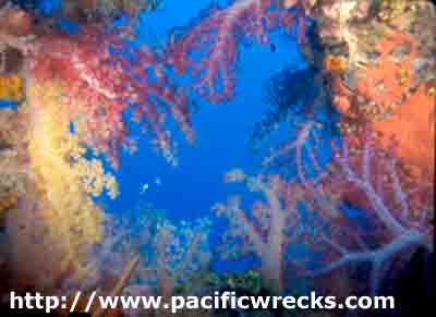 Click For Enlargement