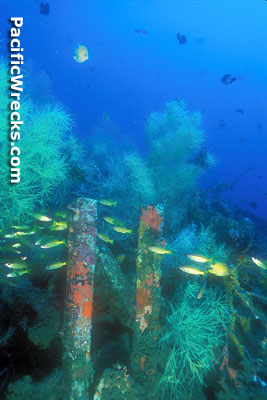 Click For Enlargement