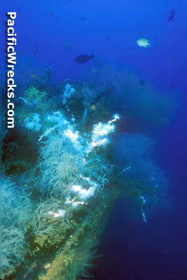 Click For Enlargement