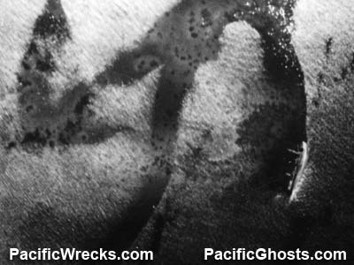PacificWrecks.com