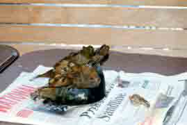 Click For Enlargement