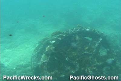 Click For Enlargement