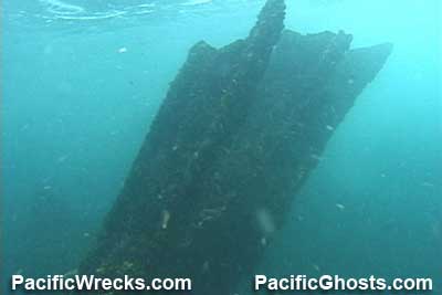 Click For Enlargement