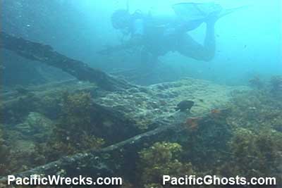 Click For Enlargement