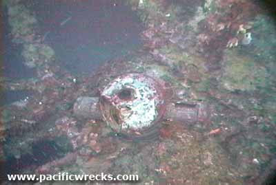 Click For Enlargement