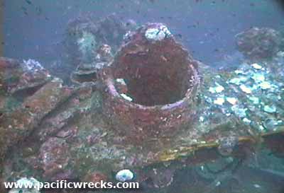 Click For Enlargement