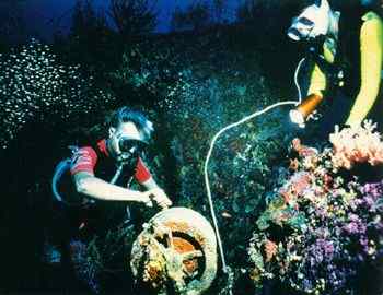 Click For Enlargement