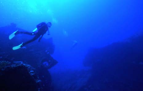 Click For Enlargement