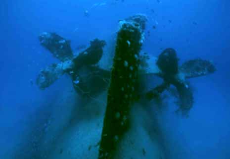 Click For Enlargement