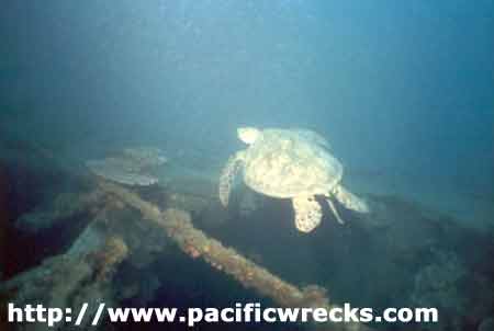 Click For Enlargement